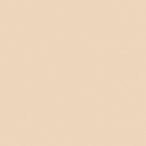 Y344 FS15 Beige prégelt 2800x2070x18mm