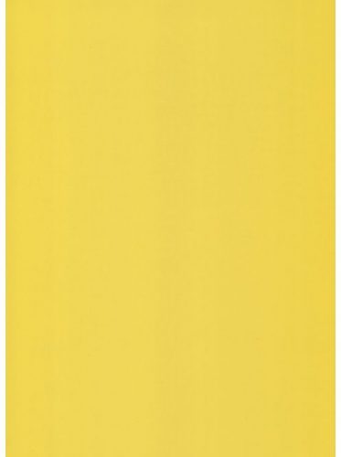 Munkalap 1485 GL Crome yellow 3600x600x38mm extra kopásálló fényes